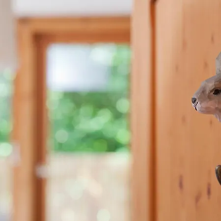 Fuchs Und Hasenhaus Im Schwarzwald
