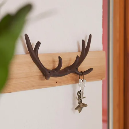 Fuchs Und Hasenhaus Im Schwarzwald Apartment *